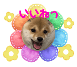 565572100