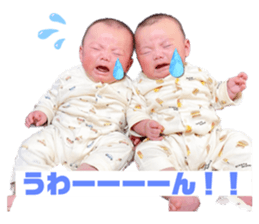 565587265