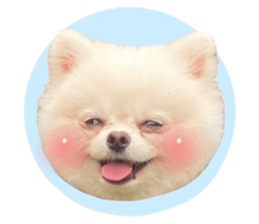 565589115