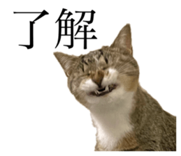 565590682