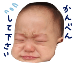 56559410