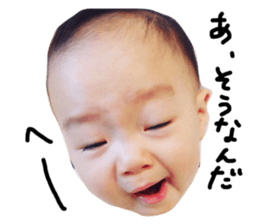 56559411