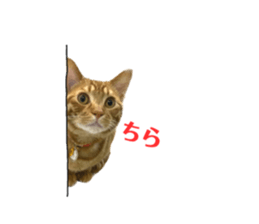 565595010