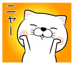 565599428