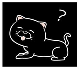 565599443