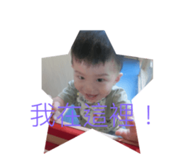 56561067