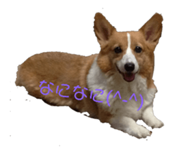 56561429