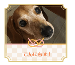 565634606