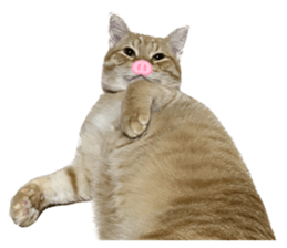 565634947