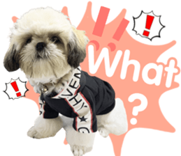 565649002