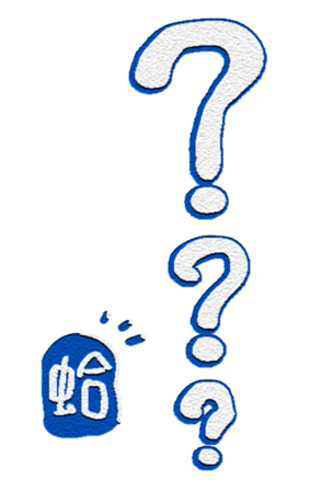 565650809