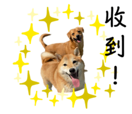 565653040