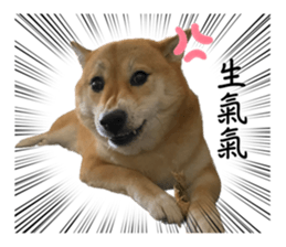 565653050