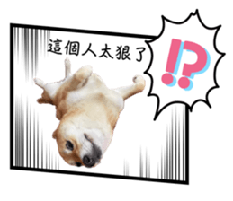 565653054