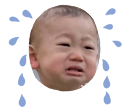 565655311