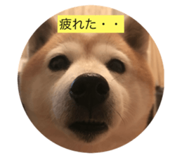 56565571
