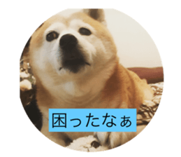 56565577