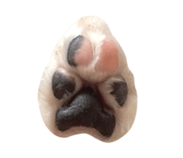 565666980