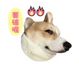 565671718