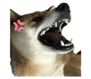 565677938