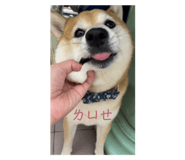 565677941