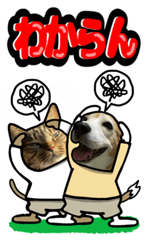 565680607
