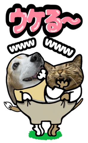 565680610
