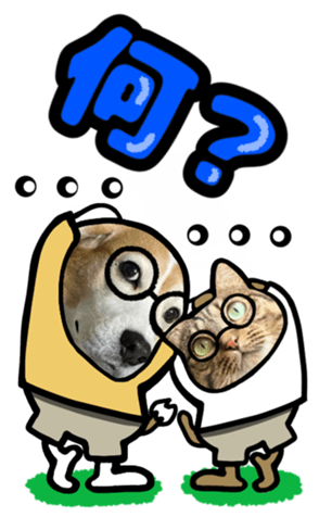 565680612