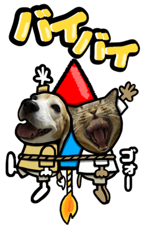 565680616