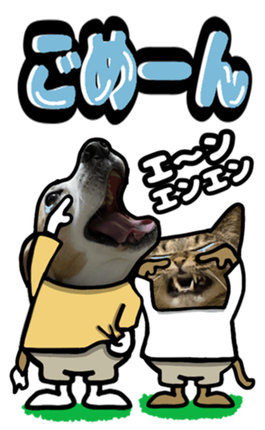 565680617