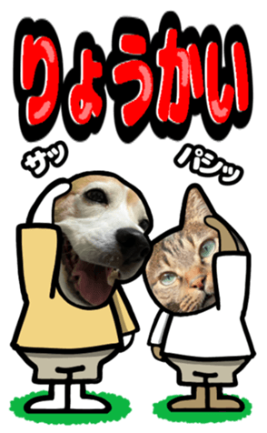 565680624