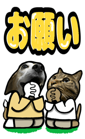 565680625