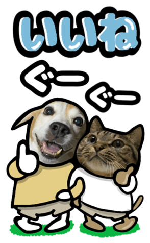 565680628