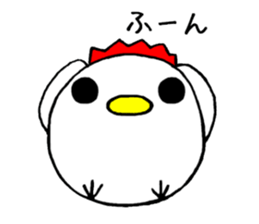 5656855