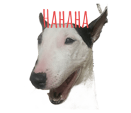 565692611
