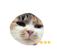 565692612
