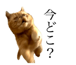 565698322