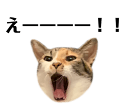 565731880