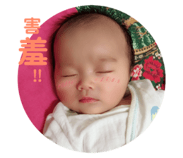 56574175