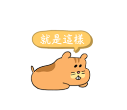 565766250