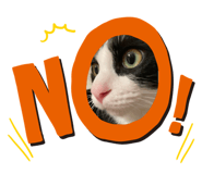 565778978