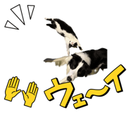 565778982
