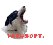 565778984