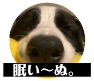 565778985