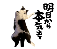 565778989