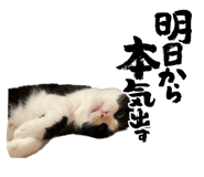 565778990