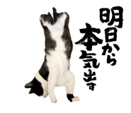 565778991