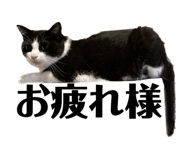 565778999