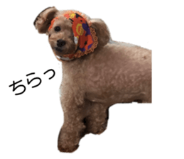 565795920