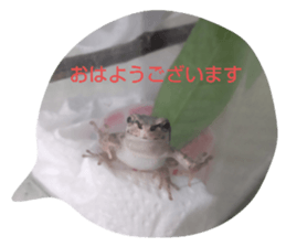 565812614